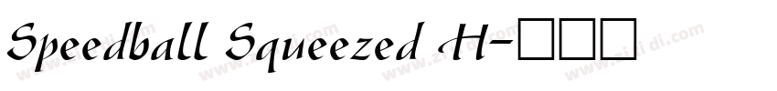 Speedball Squeezed H字体转换